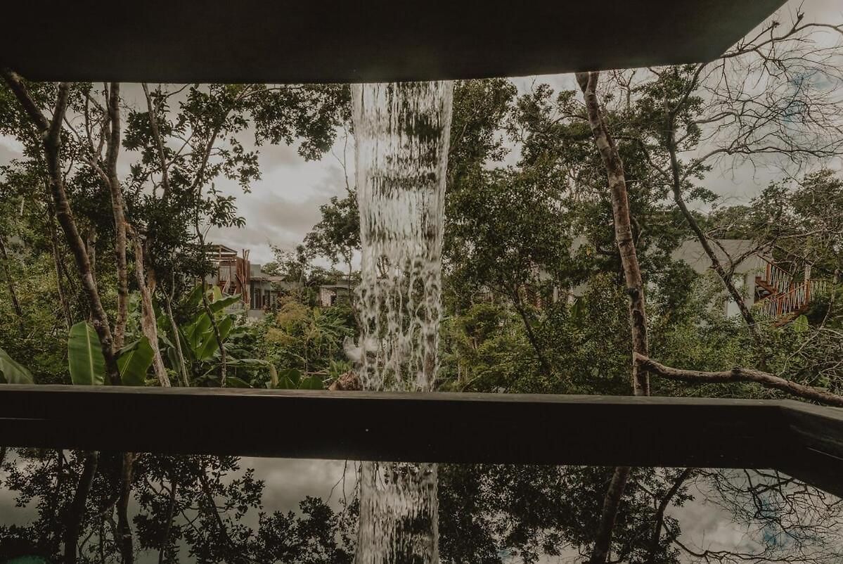 Private Jungle 1br Retreat & Fast Wi-fi *