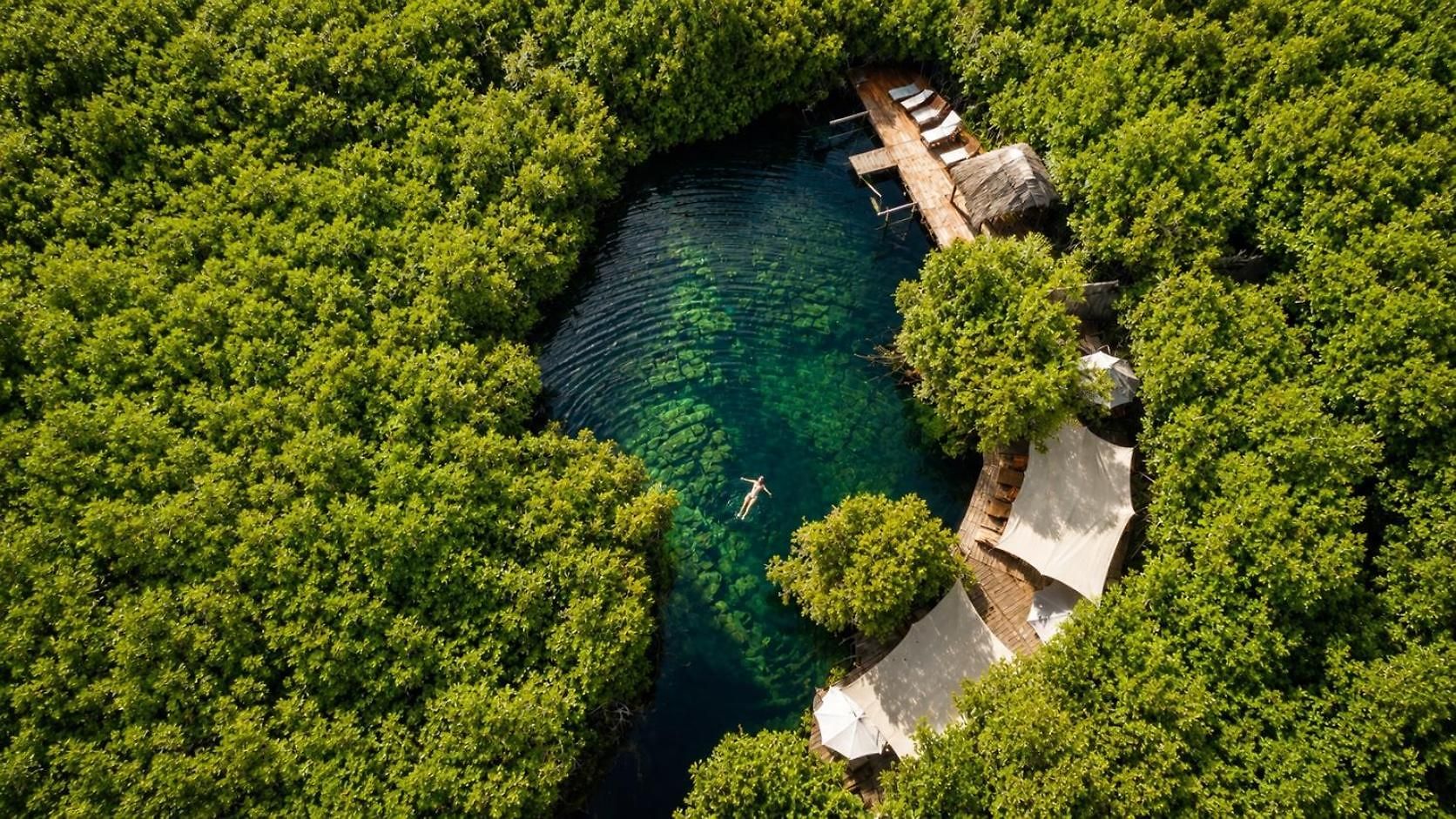 Garden Atelier - Private Cenote & Steps From The *