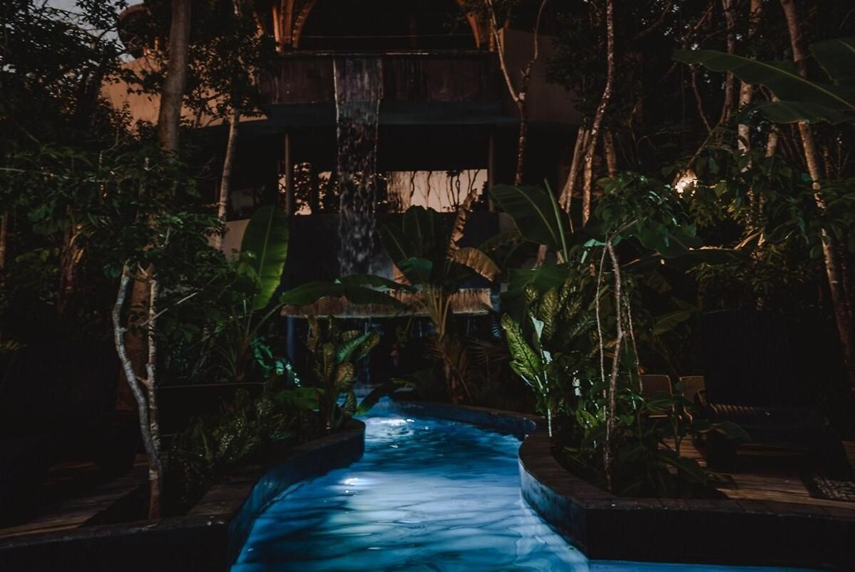 Private Jungle 1br Retreat & Fast Wi-fi Apartment *