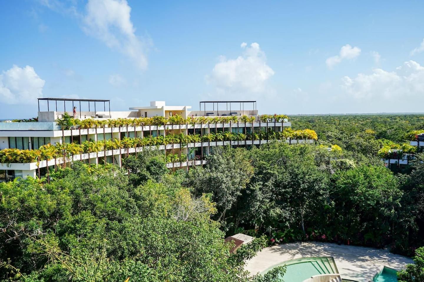 Temple Loft Rooftop Infinity Selva