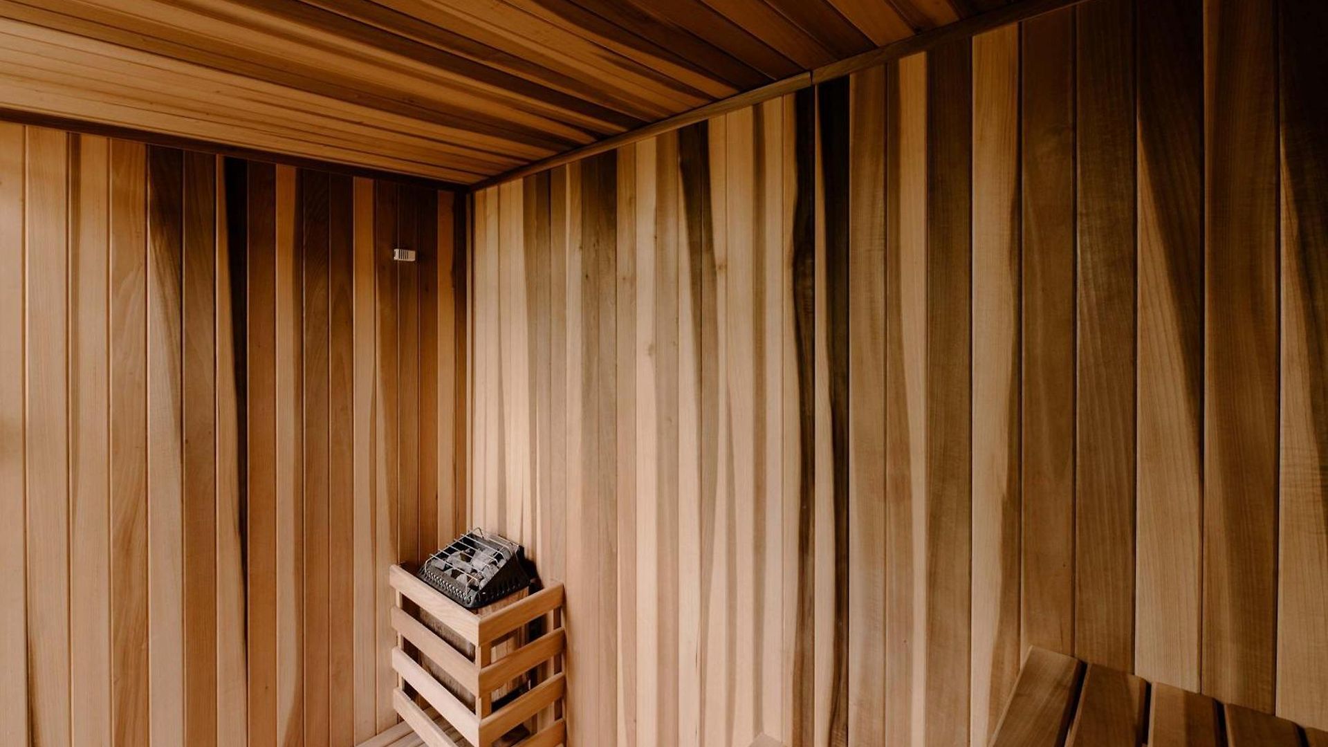 Luxe 1 Bedroom Cenote Sauna Gym And Private Terrrace With Pool Apartment