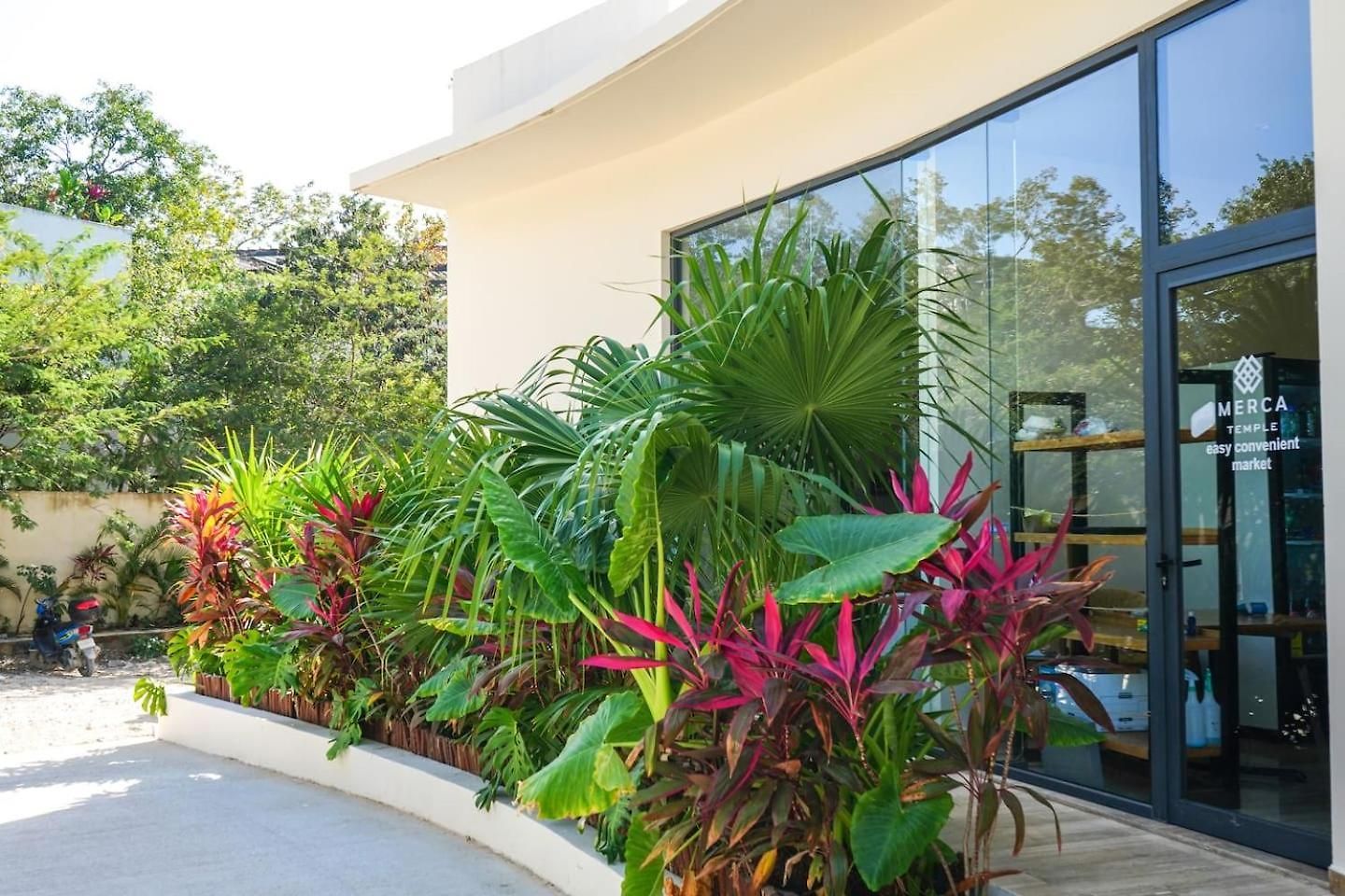 Temple Loft Rooftop Infinity Selva Tulum