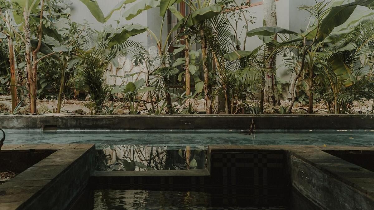 Apartment Private Jungle 1br Retreat & Fast Wi-fi Tulum