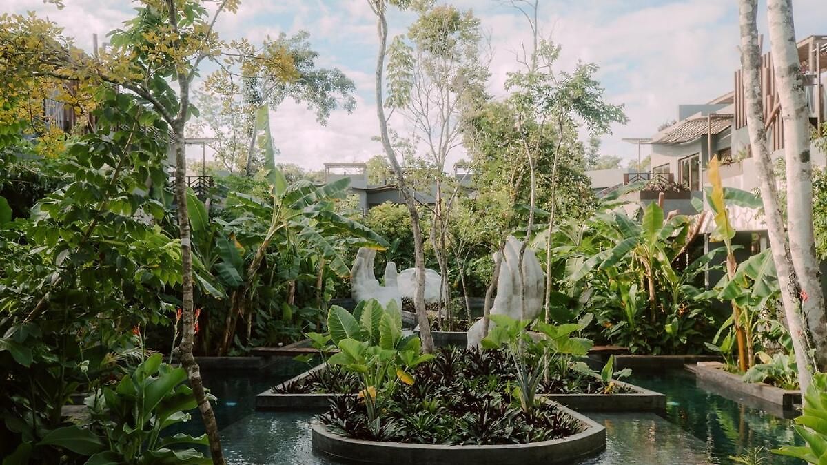 Private Jungle 1br Retreat & Fast Wi-fi