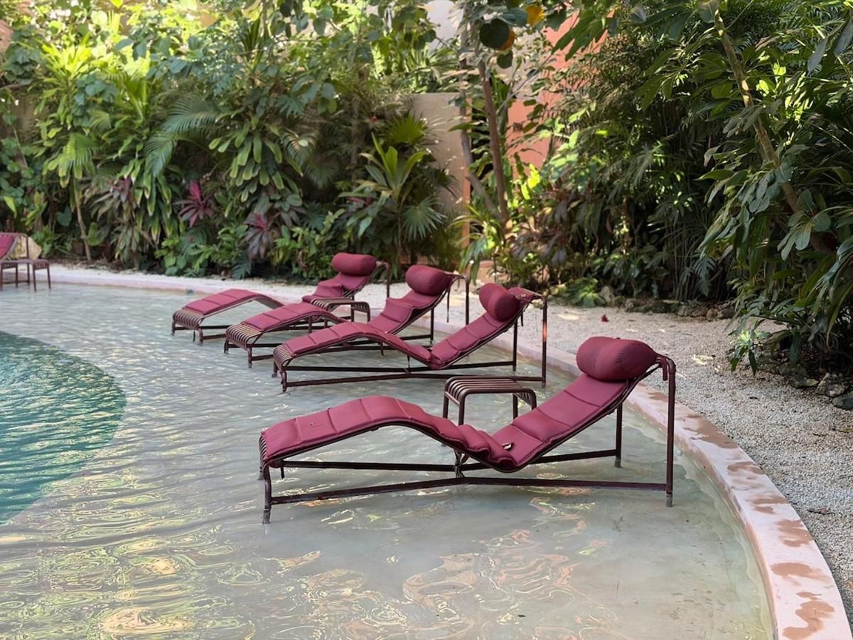 Wellness & Organic Tulum