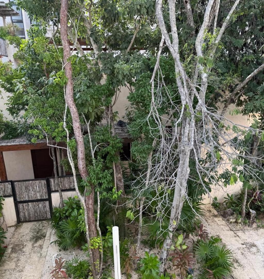 Brand New 2br In Gran Apartment Tulum