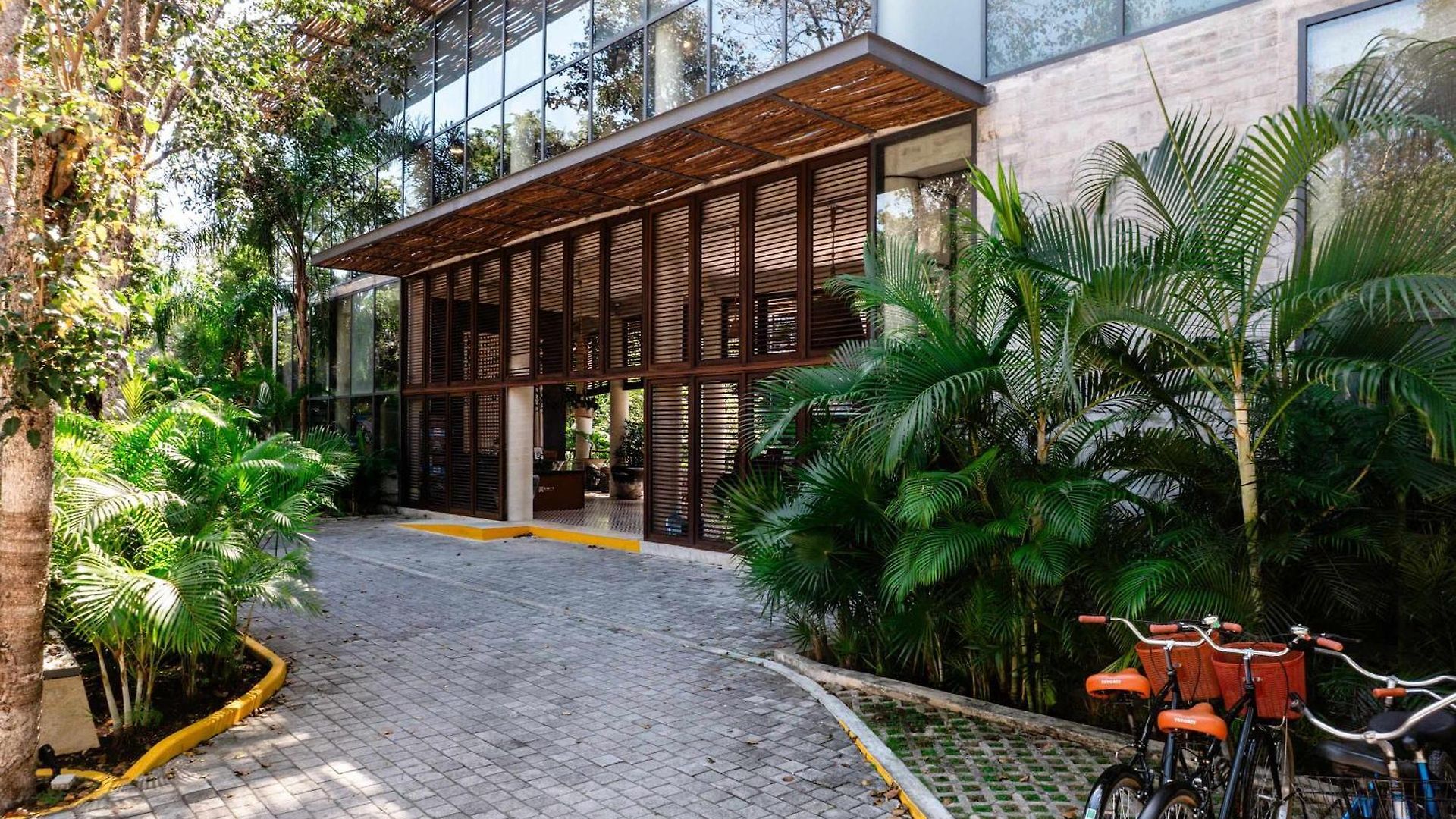 Modern 1br At Xalet Luxury With Cenote & Pool Apartment