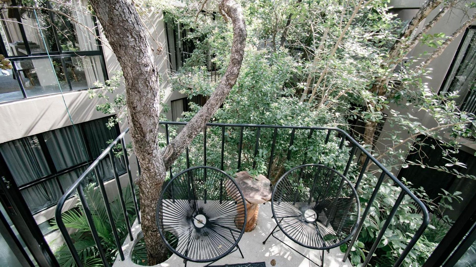 Vida Jungle Incl Rooftop Pool