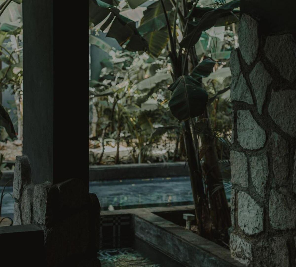 Apartment Private Jungle 1br Retreat & Fast Wi-fi Tulum