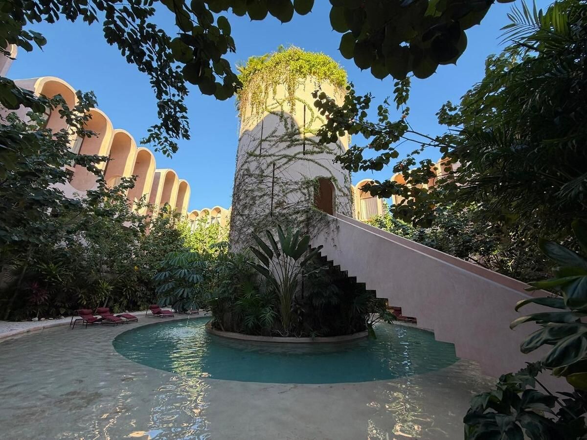 Wellness & Organic Apartment
