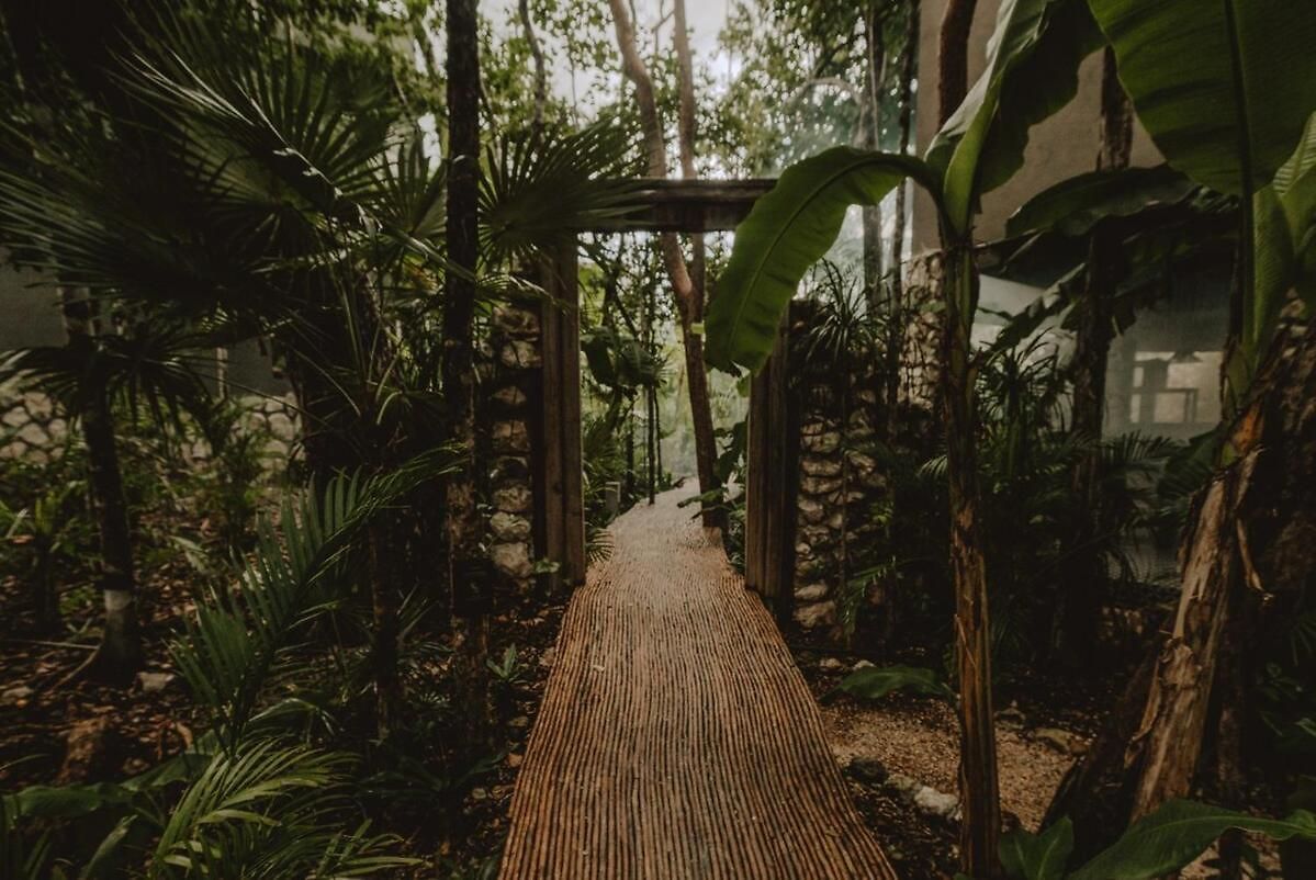 Private Jungle 1br Retreat & Fast Wi-fi *