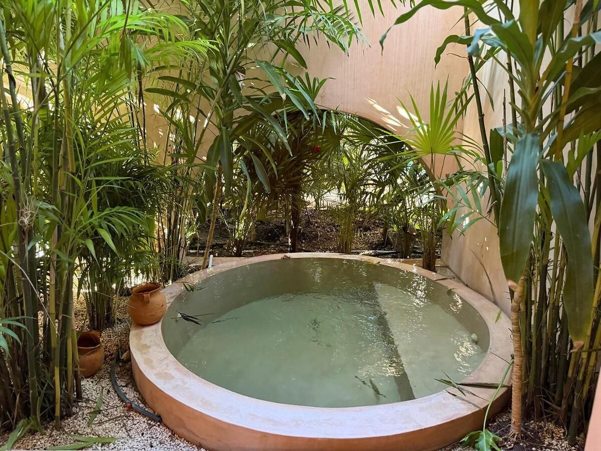 Wellness & Organic Apartment Tulum