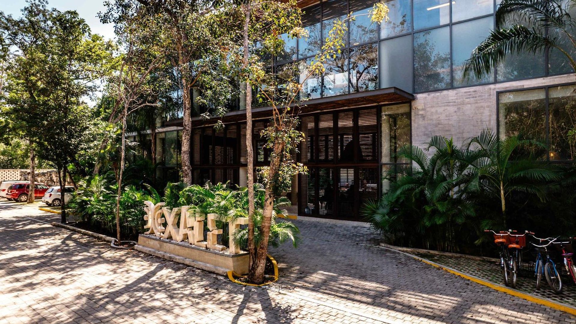 Modern 1br At Xalet Luxury With Cenote & Pool Apartment