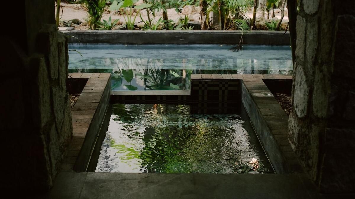Apartment Private Jungle 1br Retreat & Fast Wi-fi *