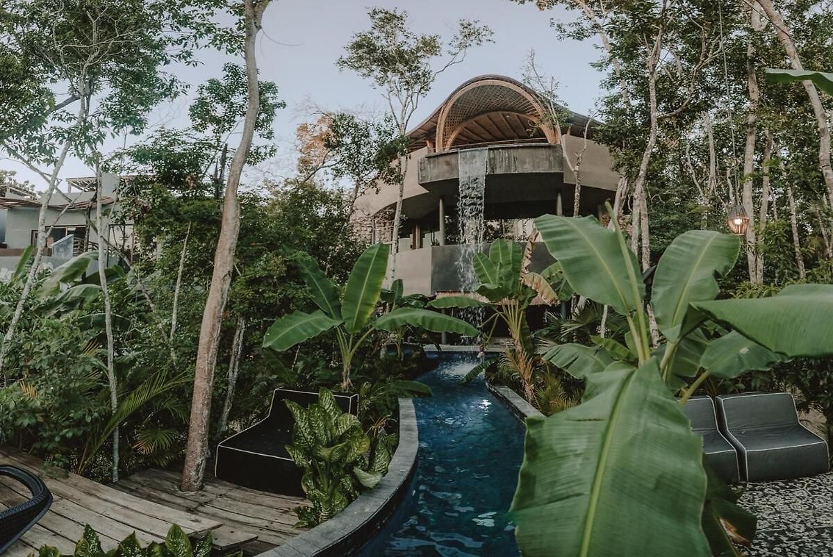 Private Jungle 1br Retreat & Fast Wi-fi Apartment Tulum