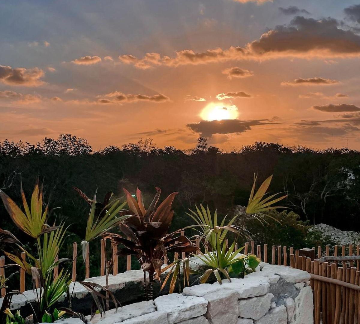 1 Bed Private Balcony Great Location Apartment Tulum