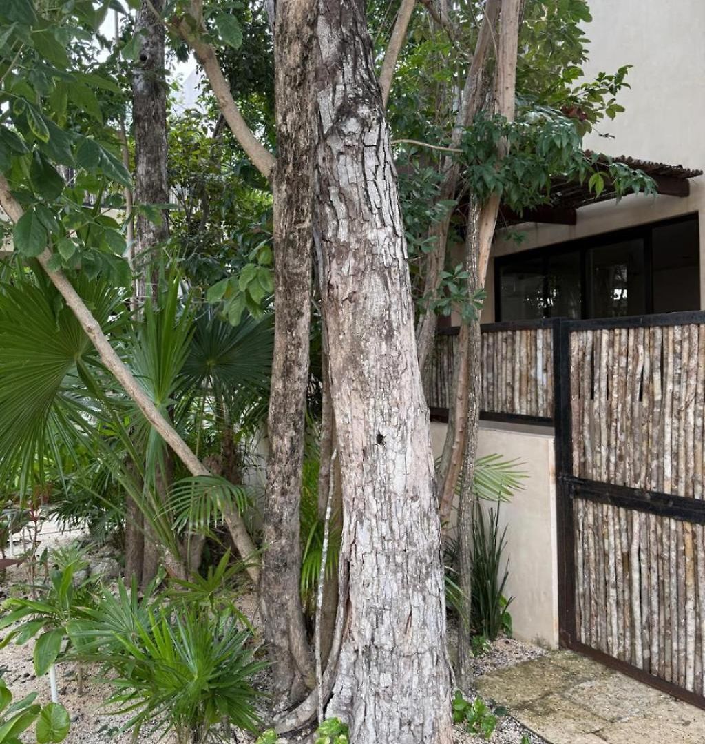 Brand New 2br In Gran Tulum