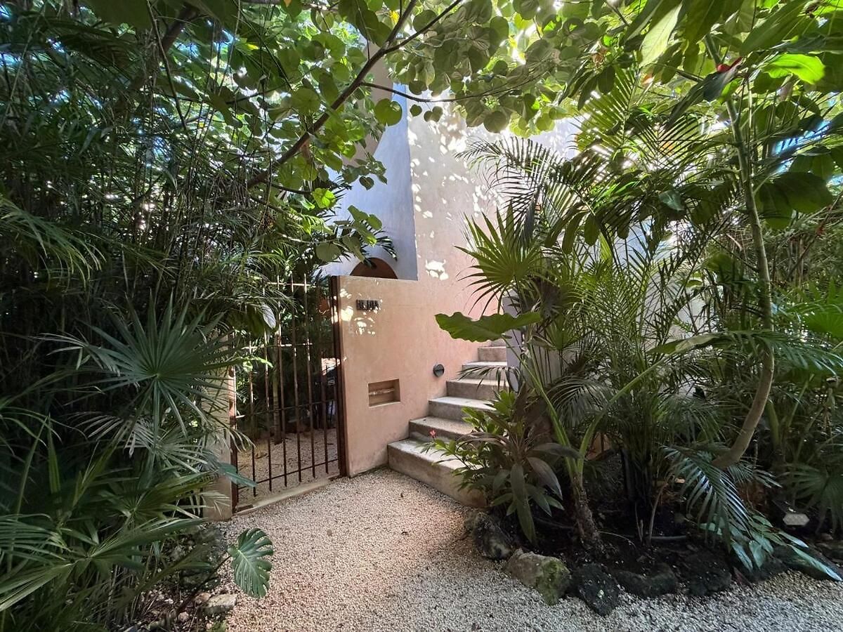Wellness & Organic Tulum