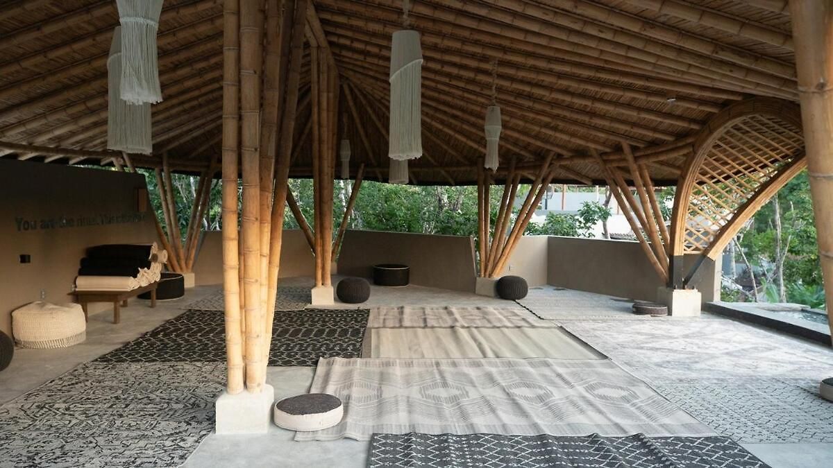 Private Jungle 1br Retreat & Fast Wi-fi