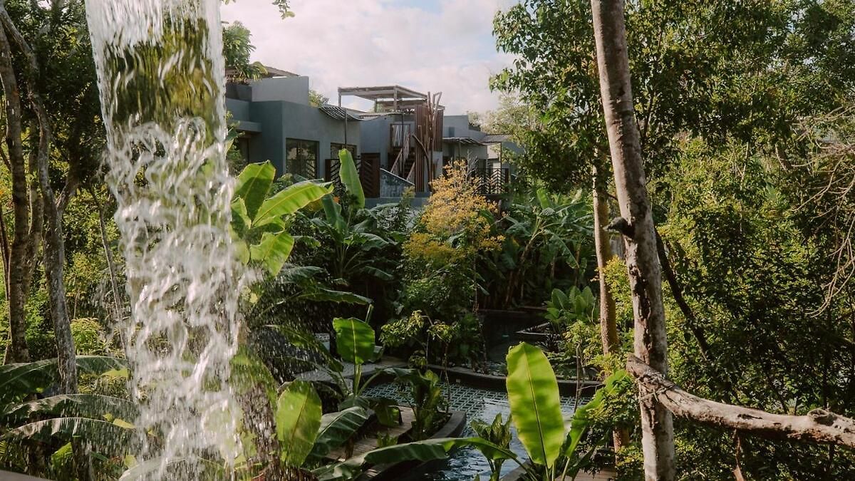 Apartment Private Jungle 1br Retreat & Fast Wi-fi *