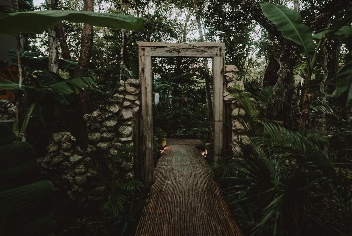 Apartment Private Jungle 1br Retreat & Fast Wi-fi *