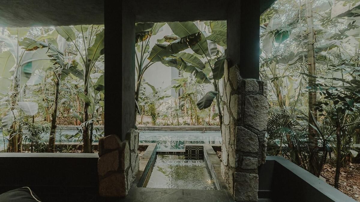 Private Jungle 1br Retreat & Fast Wi-fi * Tulum