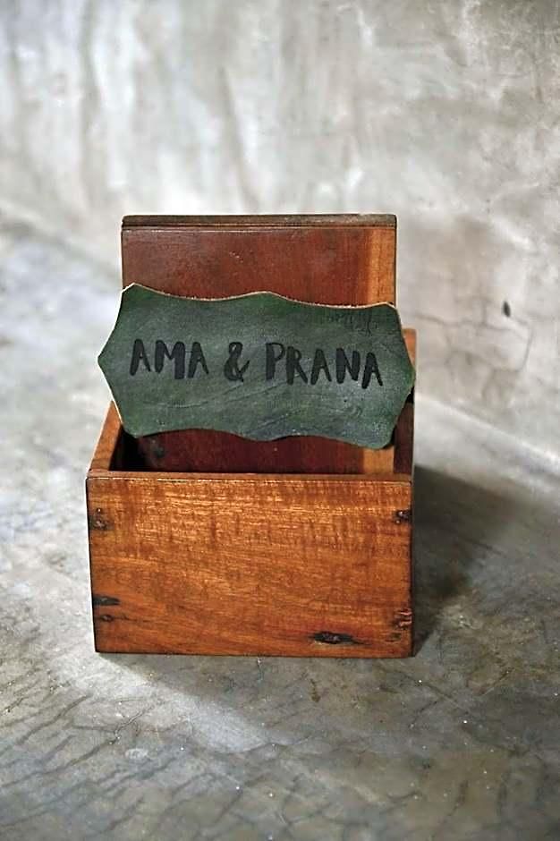 Ama Y Prana 5*