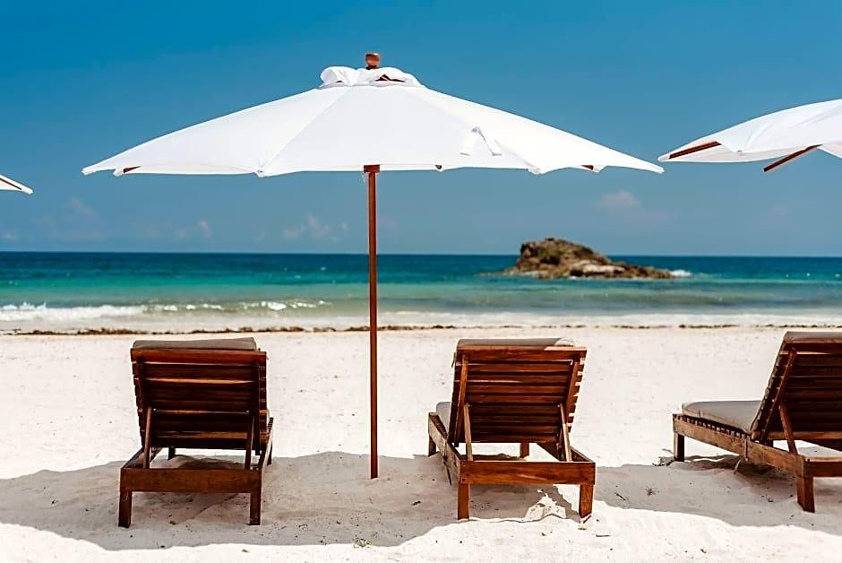Akkuun Adults Only 3*