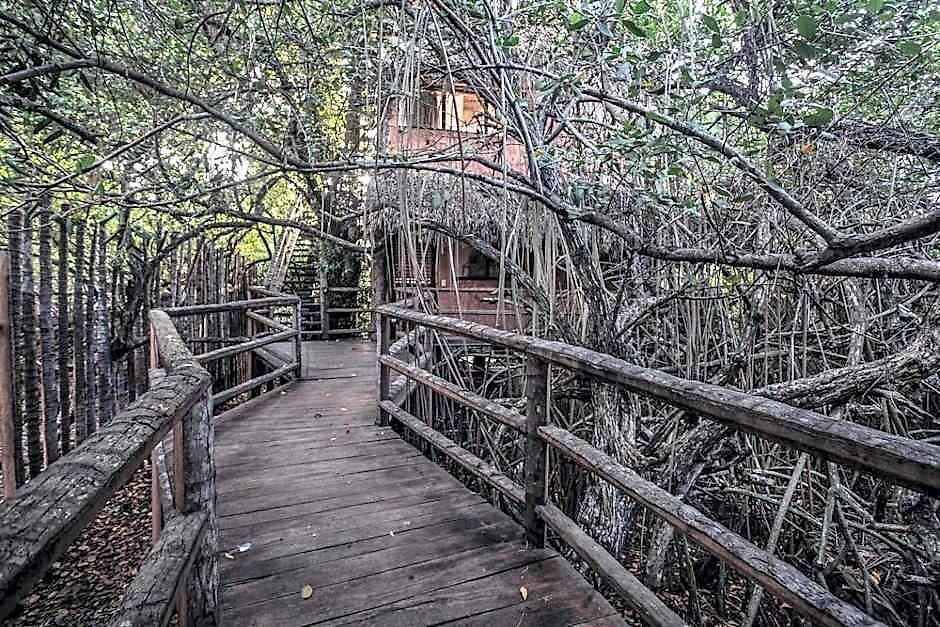 Hidden Treehouse Eco-hotel Hotel