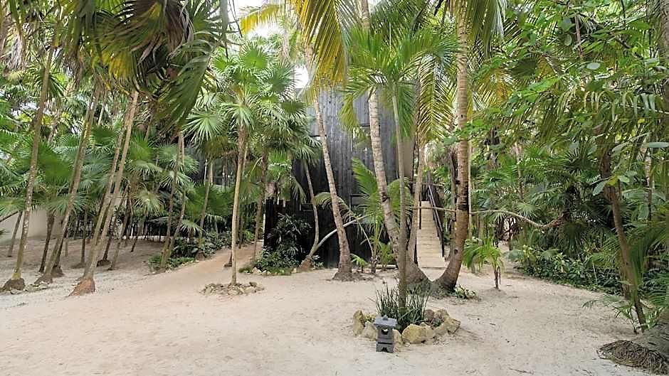 Umi * Tulum