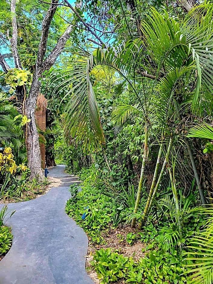 Maui Hostal