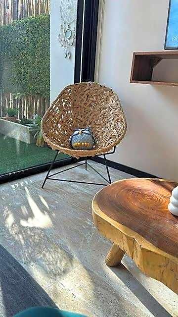 W/plunge Pool & Kitchen Apartment Tulum
