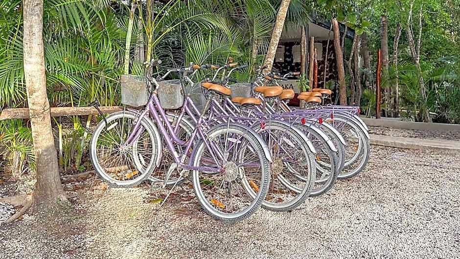Amaka Calma By Cercana Hotel Tulum