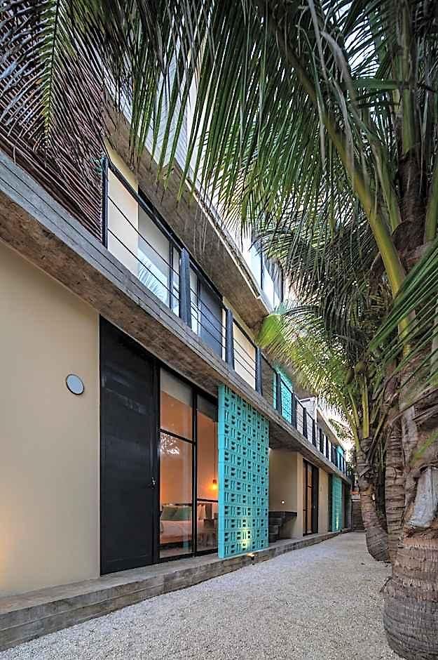Tropicalito