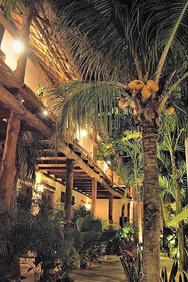 Boutique Terranova Hotel 3*