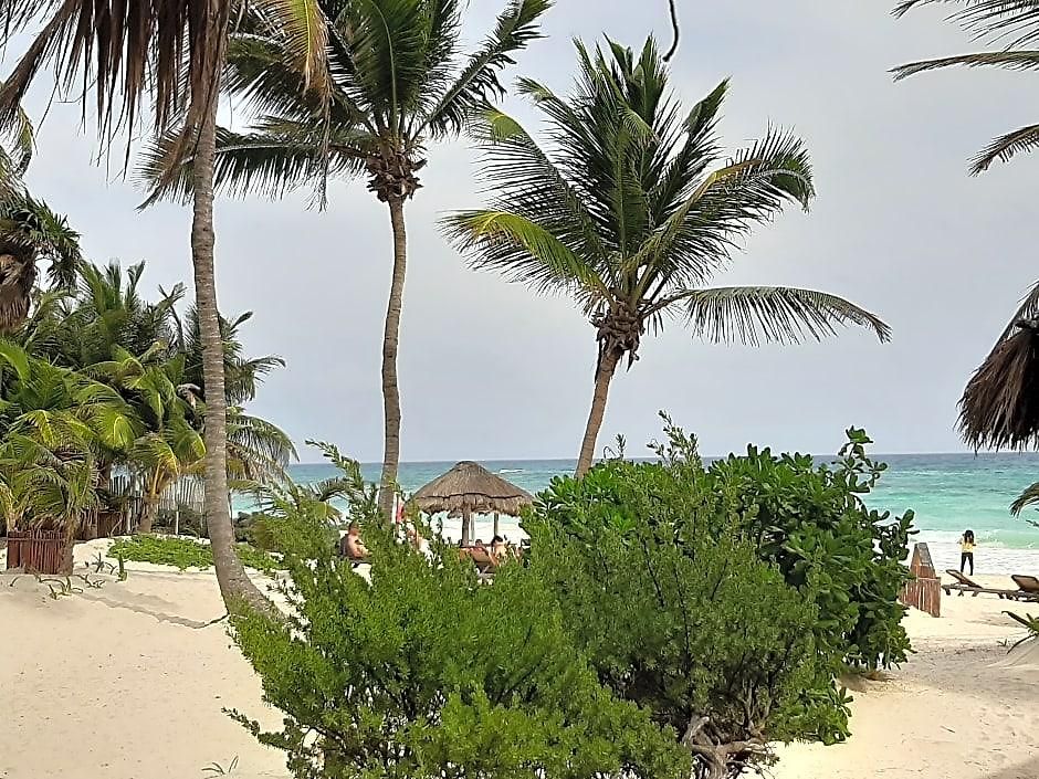 Bt Live Located At The Party Zone Hotel Tulum