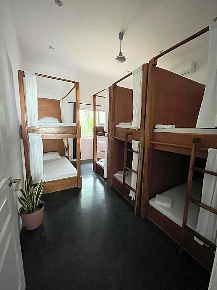 Chill Hostel