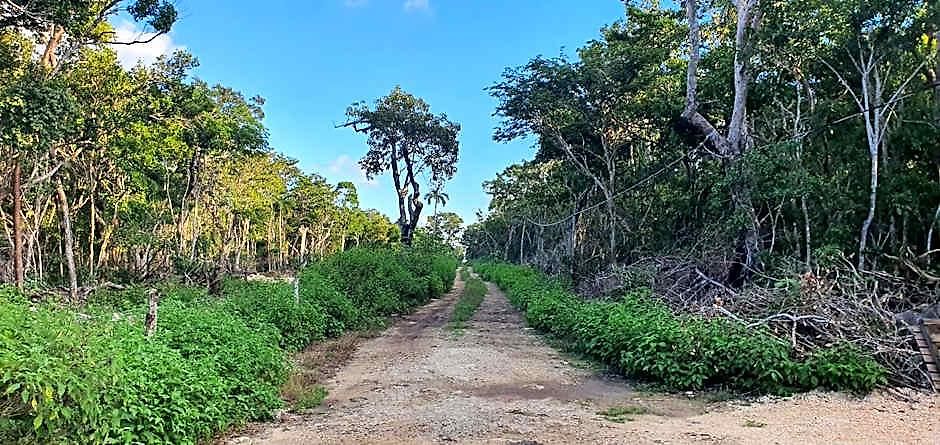 Energy Holistic Ranch * Tulum