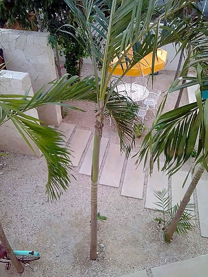 Inn Tumben Ka'a