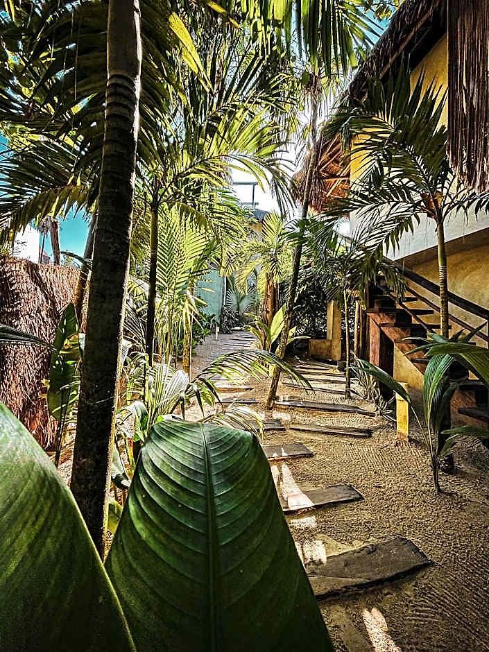 Orchid House (adults Only) Hotel 4*