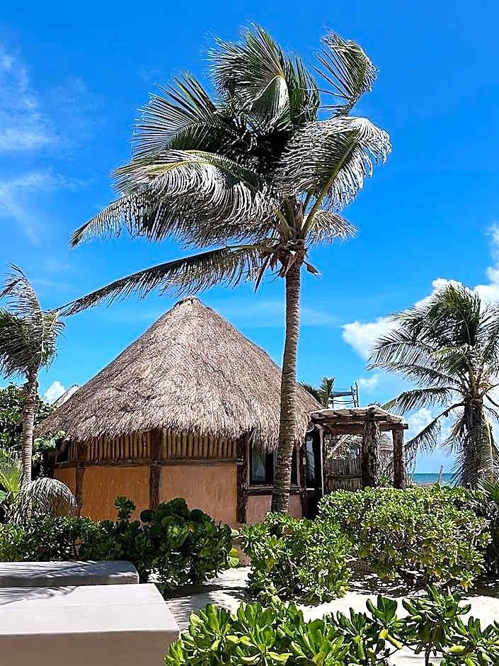 La Conchita (adults Only)