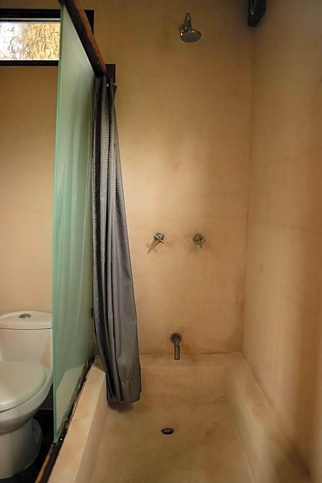 Bufo Alvarius Hotel Tulum