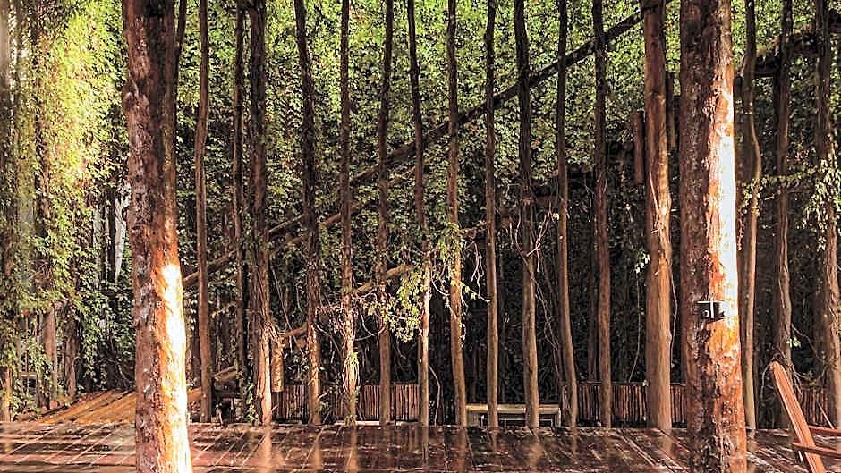 Hotel Casa Teka - Boutique & Cenote