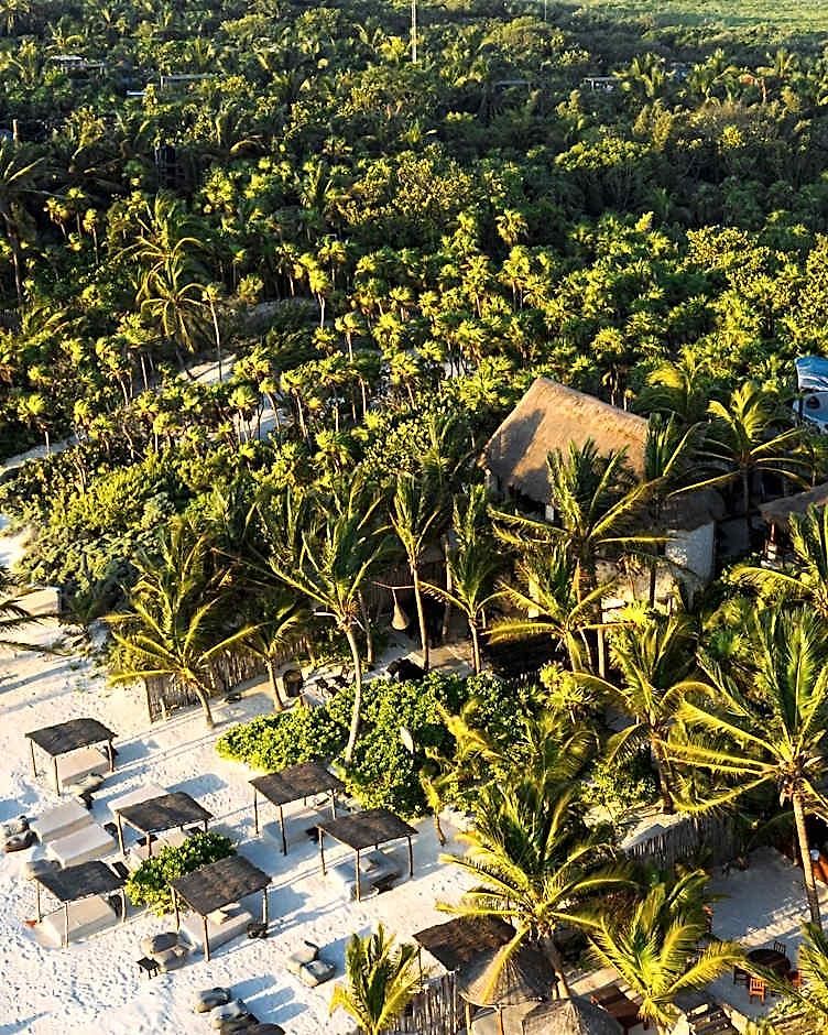 Hotel Nest 4*