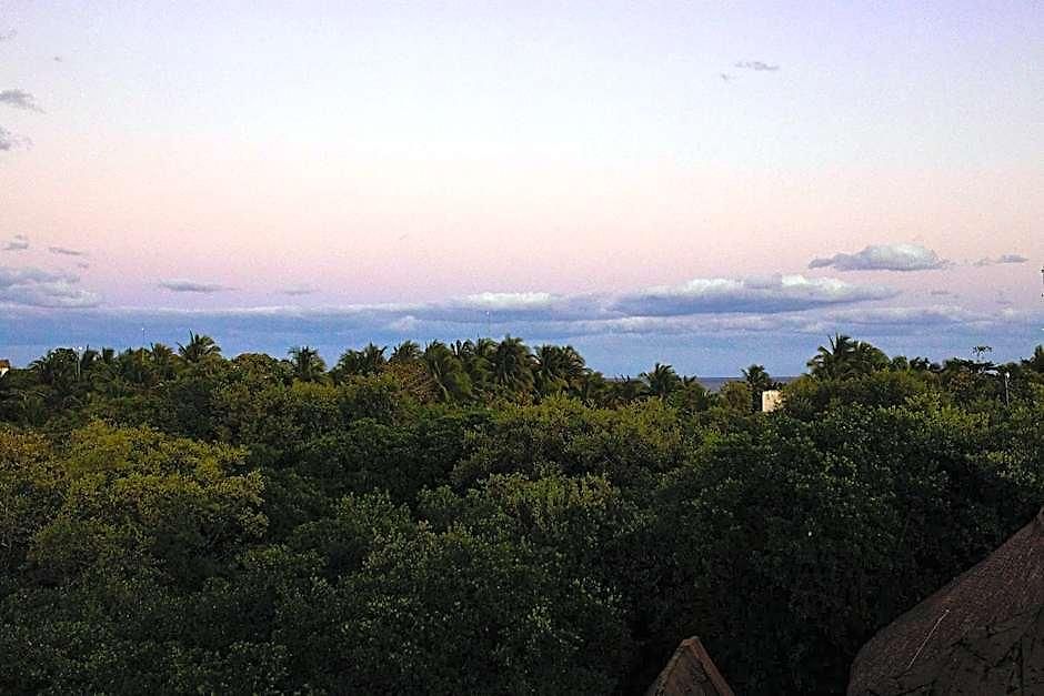 Mamasan Treehouses & 4*