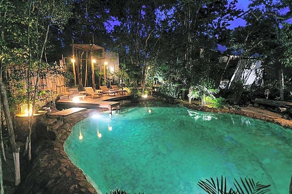 Nahouse Jungle Lodge *