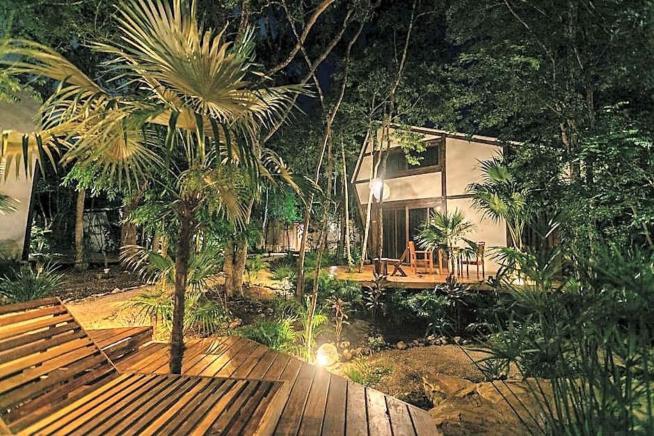 Lodge Nahouse Jungle