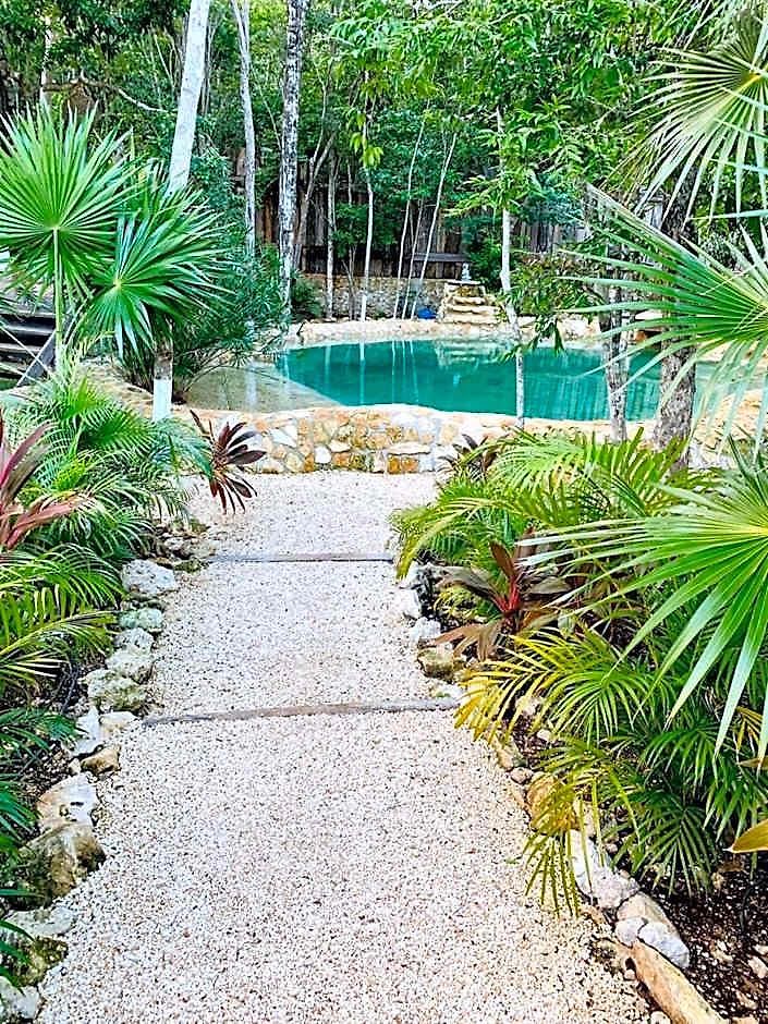 Nahouse Jungle Lodge *