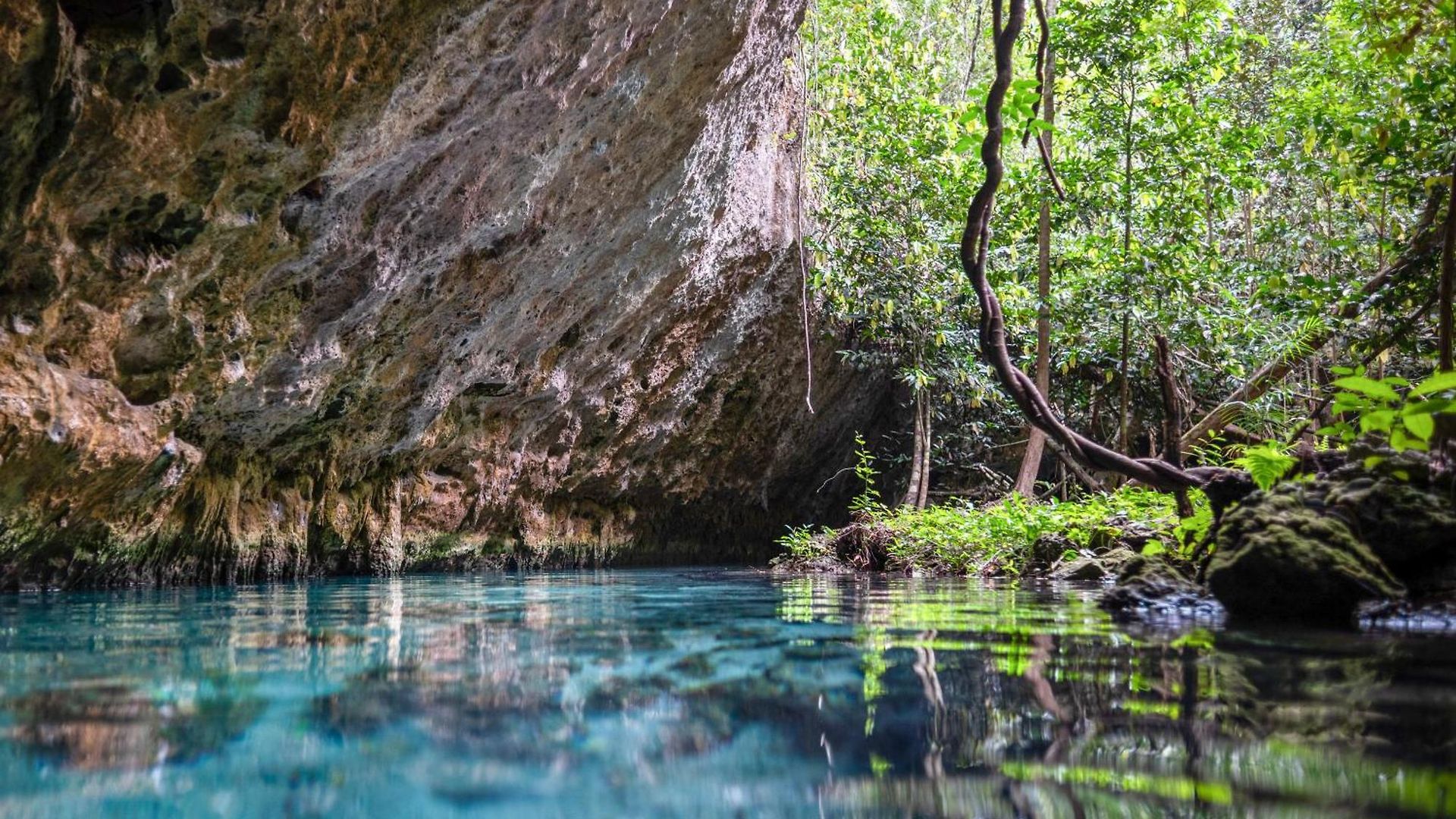 Treehouse H2ojos Lodge Tulum