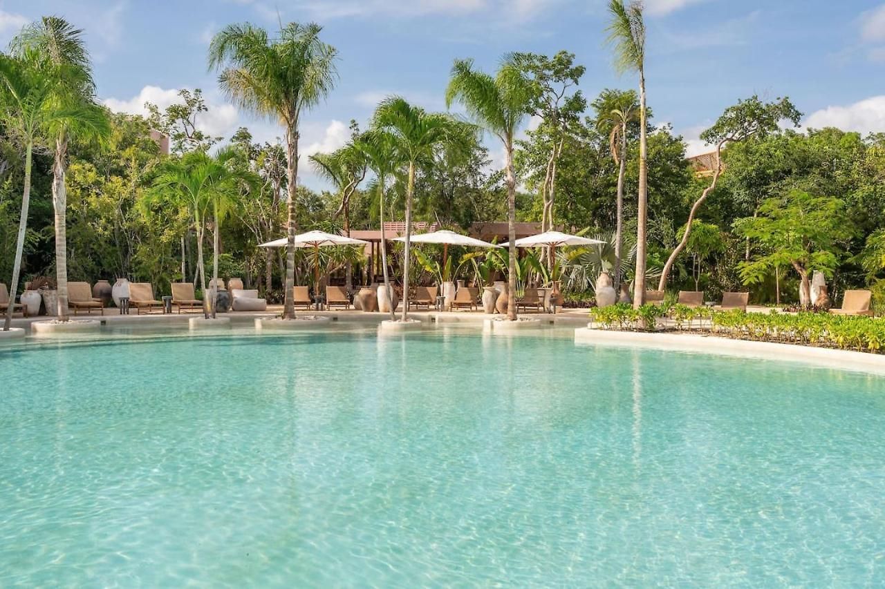 Amazing 1br Jungle With Restaurant, Pool And Gym *
